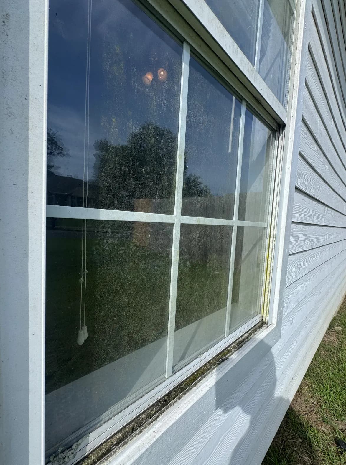 Exterior window on a North Tallahassee home — before cleaning